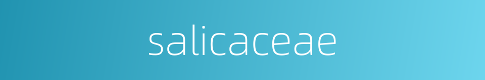 salicaceae的同义词