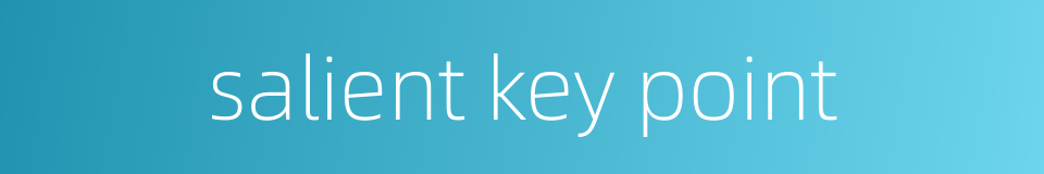 salient key point的同义词