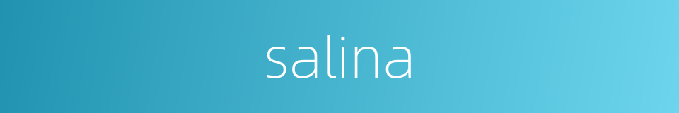 salina的同义词