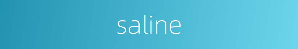 saline的同义词