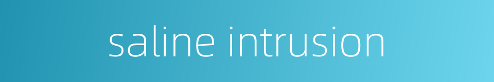 saline intrusion的同义词