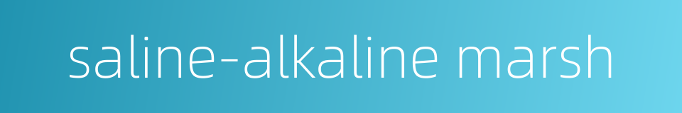 saline-alkaline marsh的同义词