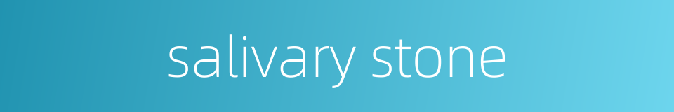 salivary stone的同义词