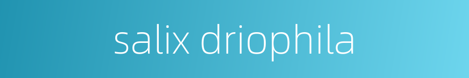 salix driophila的同义词