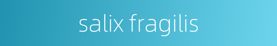 salix fragilis的同义词
