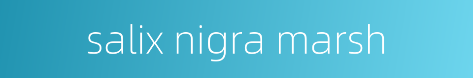 salix nigra marsh的同义词