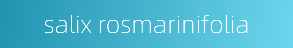 salix rosmarinifolia的同义词
