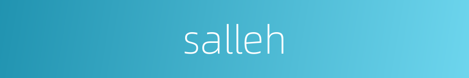 salleh的同义词