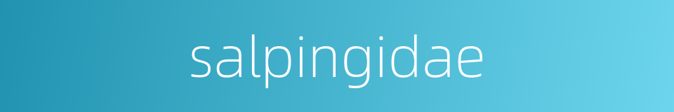 salpingidae的同义词
