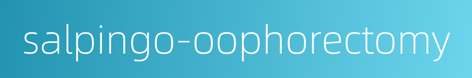 salpingo-oophorectomy的同义词