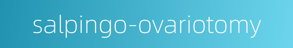 salpingo-ovariotomy的同义词