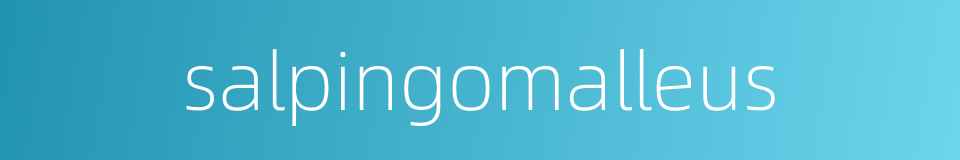 salpingomalleus的同义词
