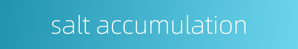 salt accumulation的同义词