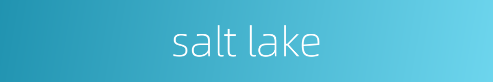 salt lake的同义词