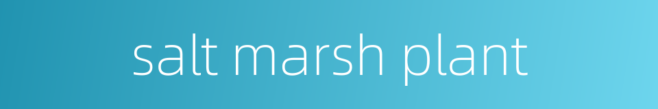 salt marsh plant的同义词
