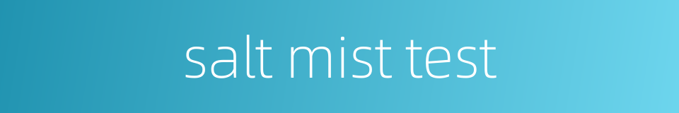 salt mist test的同义词