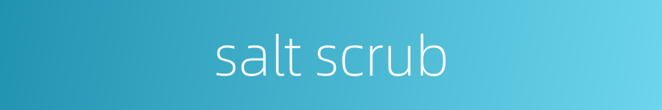 salt scrub的同义词