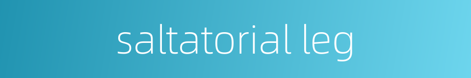 saltatorial leg的同义词