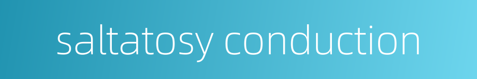 saltatosy conduction的同义词