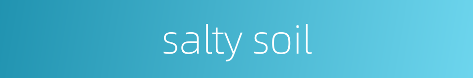 salty soil的同义词