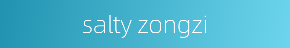 salty zongzi的同义词