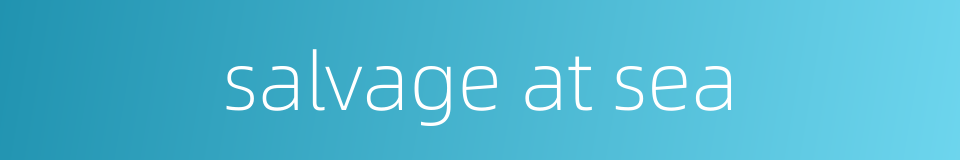 salvage at sea的同义词