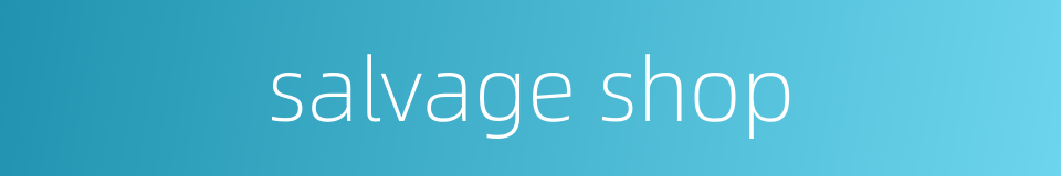 salvage shop的同义词