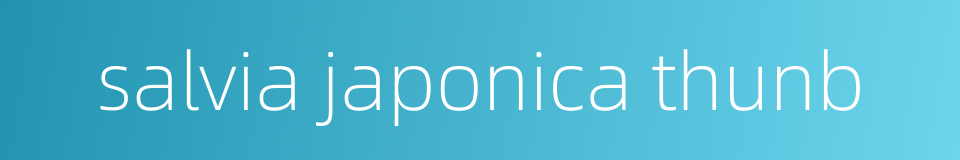 salvia japonica thunb的同义词