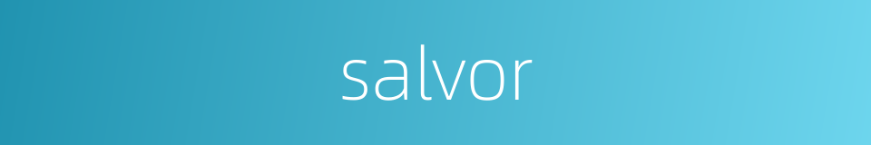 salvor的同义词