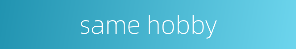 same hobby的同义词