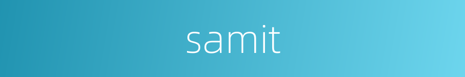 samit的同义词