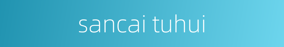 sancai tuhui的同义词