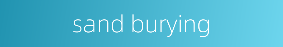 sand burying的同义词