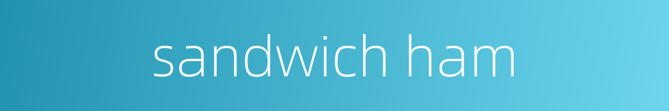 sandwich ham的同义词