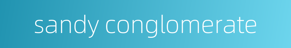 sandy conglomerate的同义词