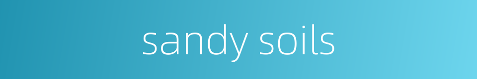 sandy soils的同义词
