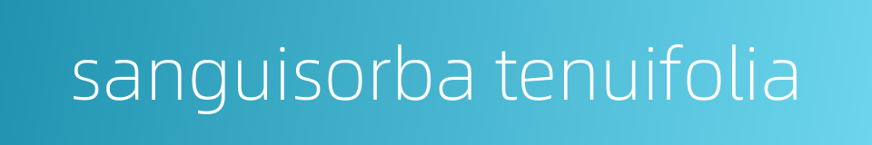 sanguisorba tenuifolia的同义词