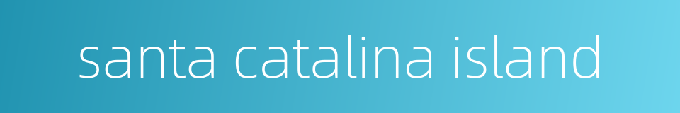 santa catalina island的同义词