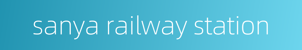 sanya railway station的同义词