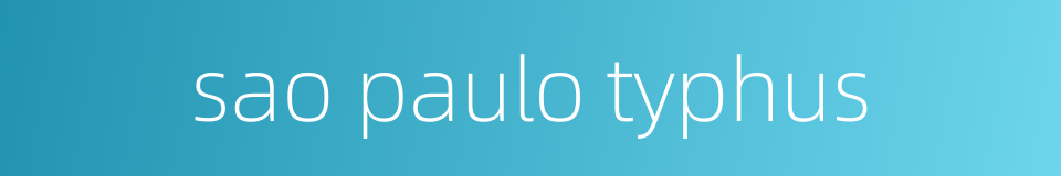 sao paulo typhus的同义词