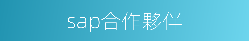 sap合作夥伴的同義詞
