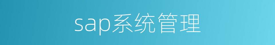 sap系统管理的同义词