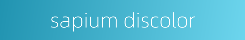 sapium discolor的同义词