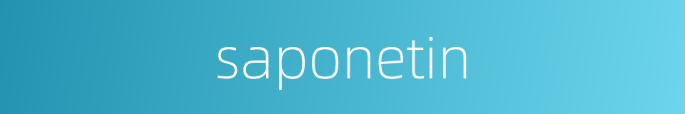 saponetin的同义词