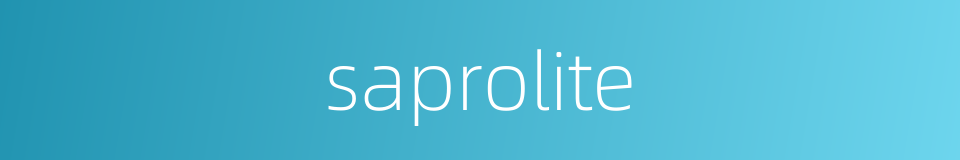 saprolite的同义词