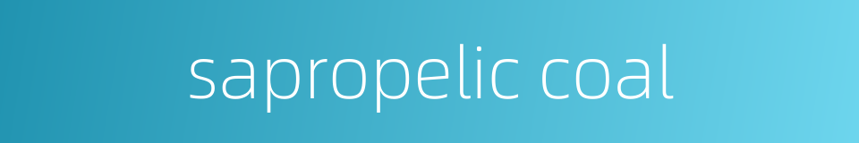 sapropelic coal的同义词