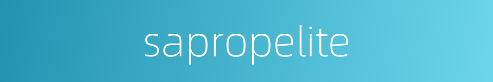 sapropelite的同义词