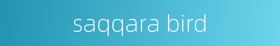 saqqara bird的同义词