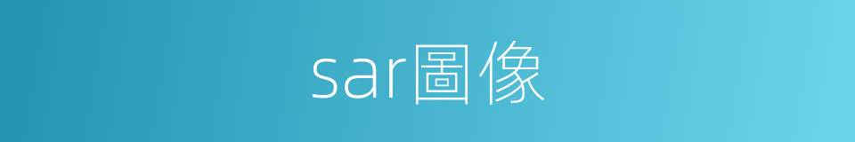 sar圖像的同義詞