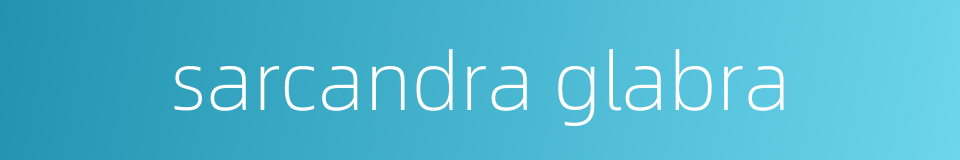 sarcandra glabra的同义词